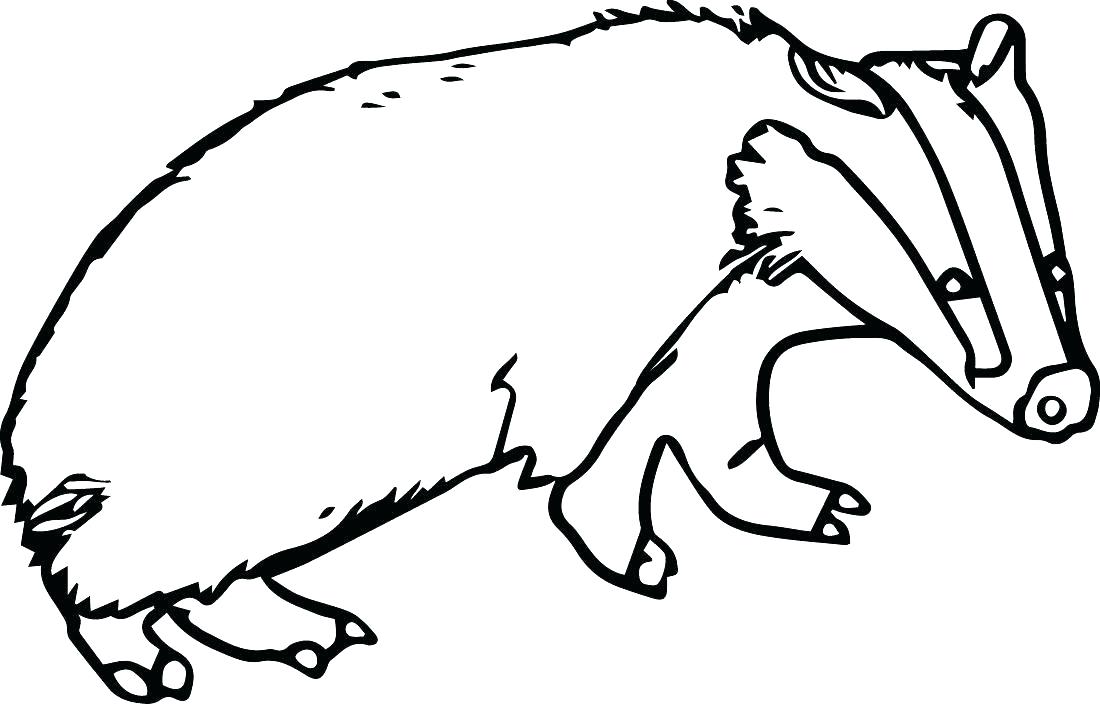 60 Nocturnal Animals Coloring Pages 47