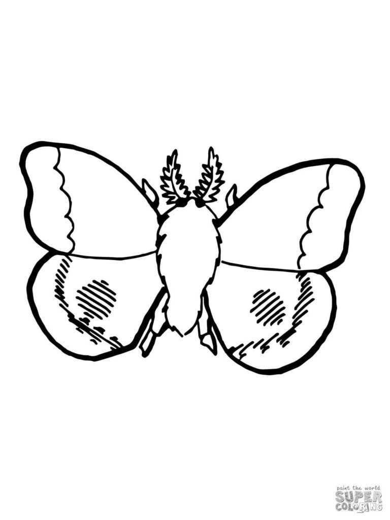 60 Nocturnal Animals Coloring Pages 48