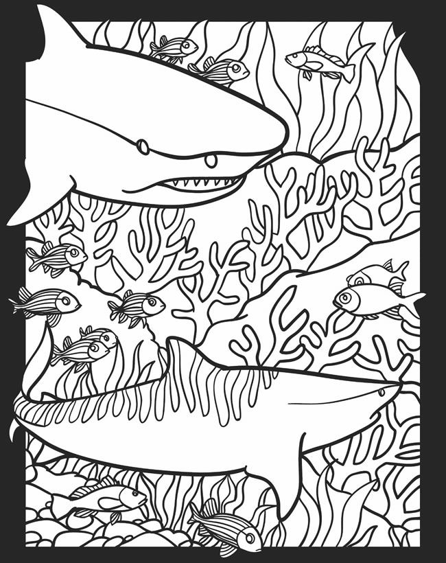60 Nocturnal Animals Coloring Pages 5