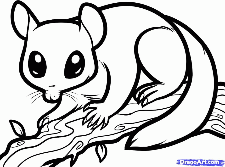 60 Nocturnal Animals Coloring Pages 56