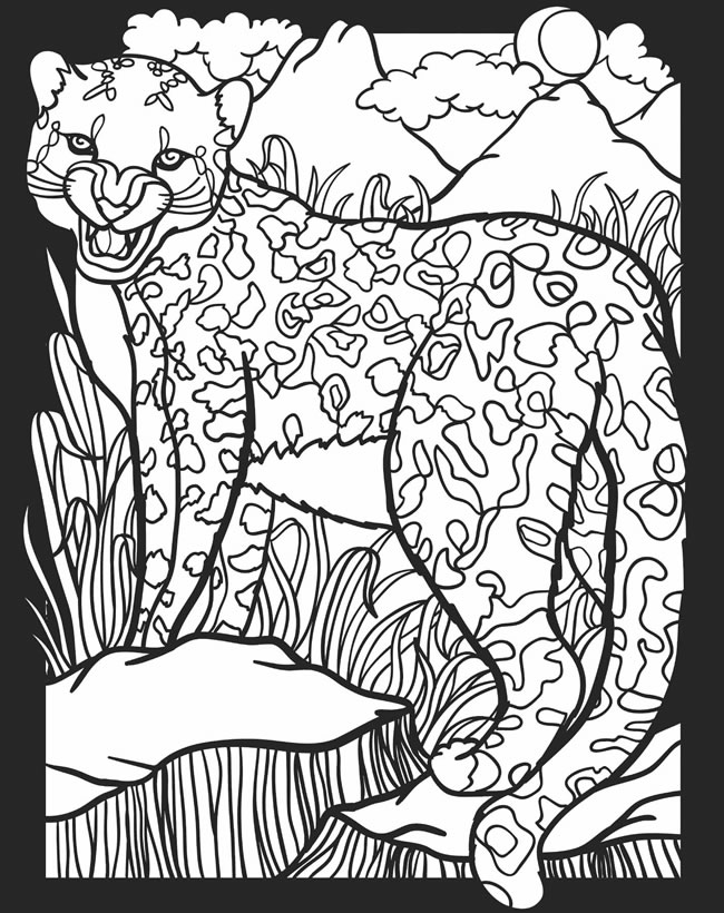60 Nocturnal Animals Coloring Pages 62