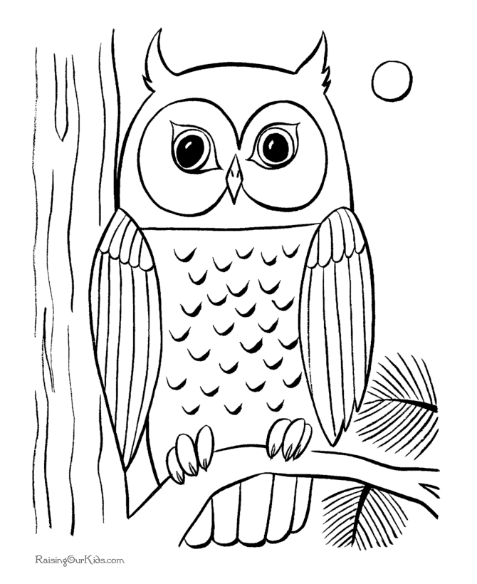 60 Nocturnal Animals Coloring Pages 63