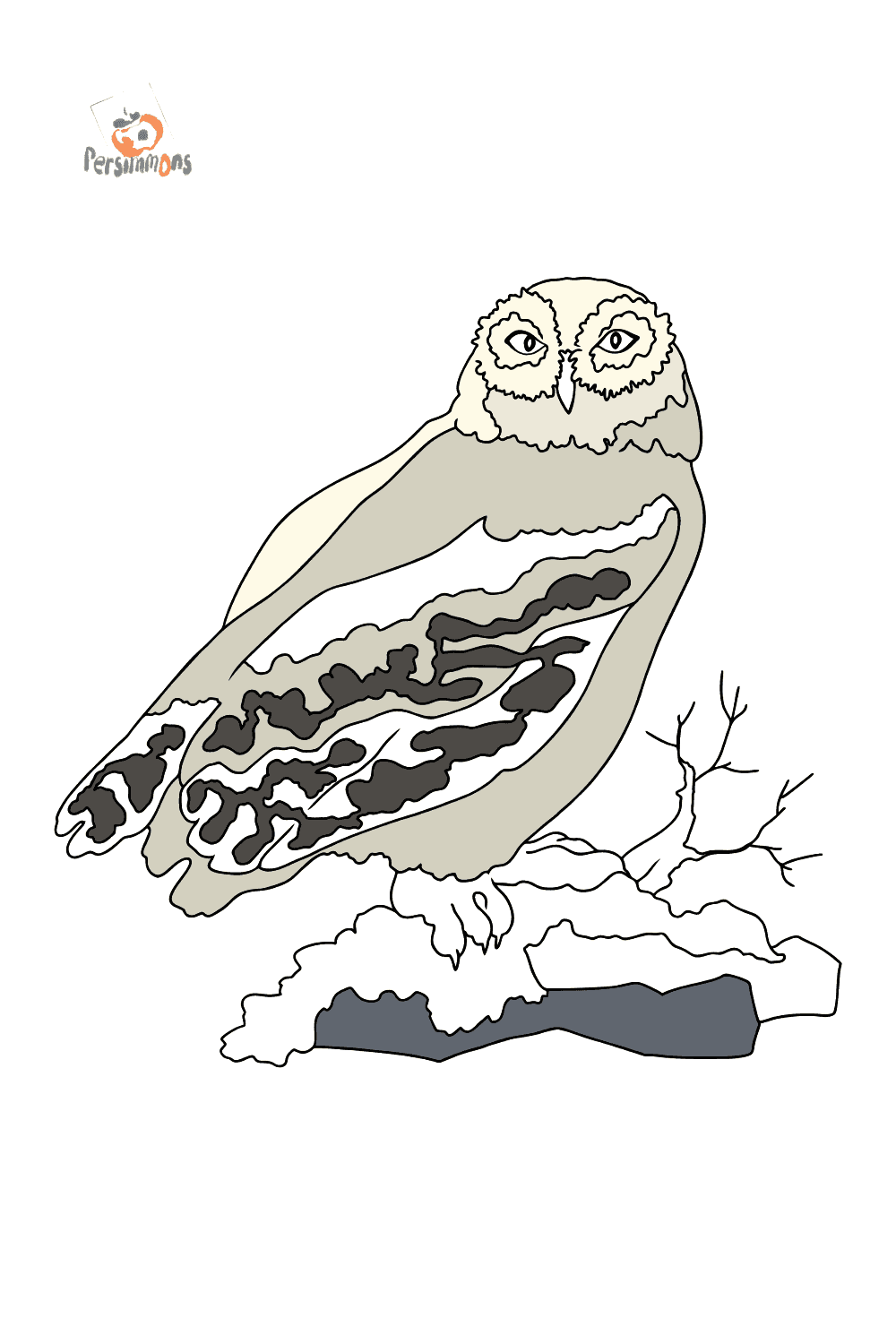 60 Nocturnal Animals Coloring Pages 66