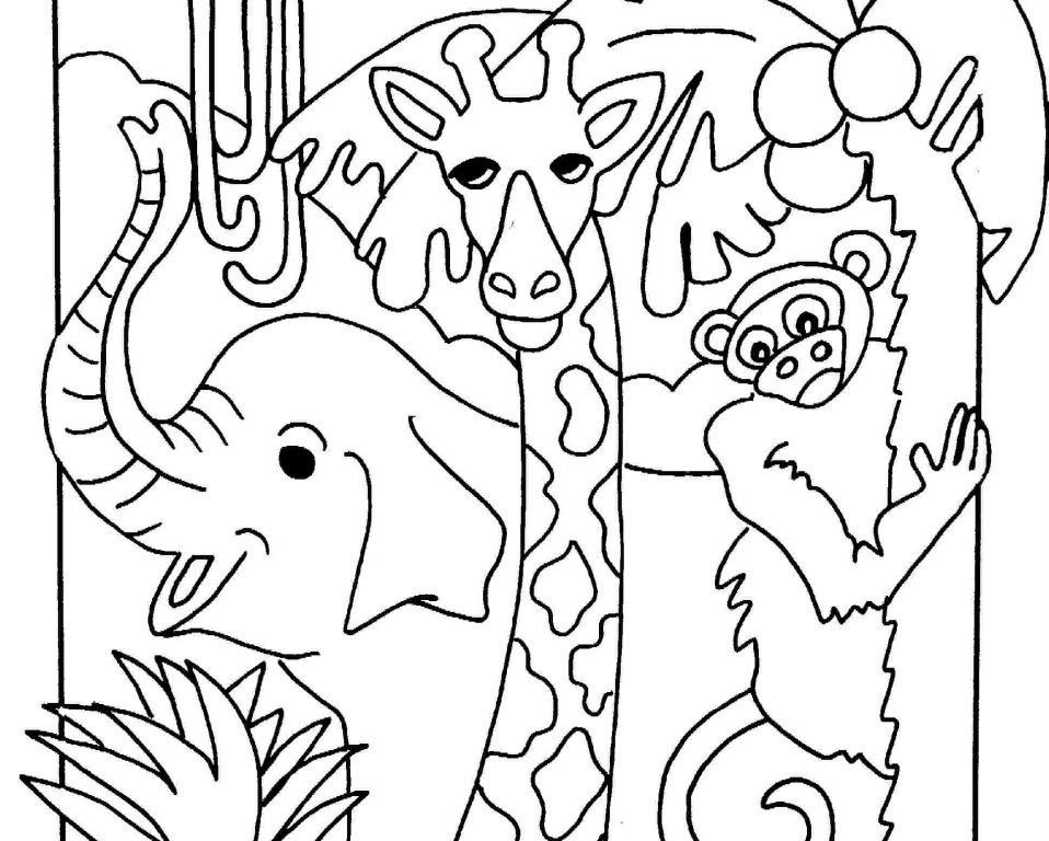 60 Nocturnal Animals Coloring Pages 8