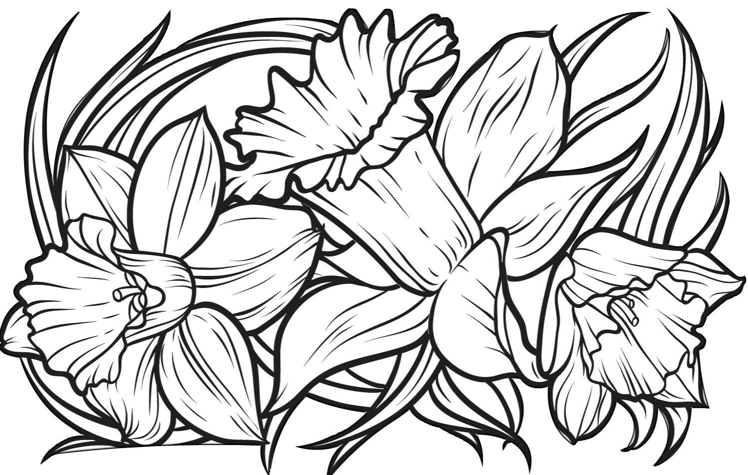 65 Coloring Books For Seniors 2