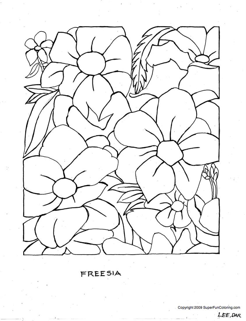 65 Coloring Books For Seniors 31