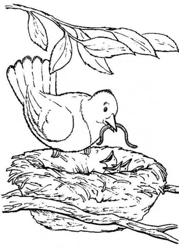 65 Coloring Books For Seniors 32
