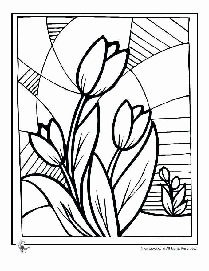 65 Coloring Books For Seniors 40