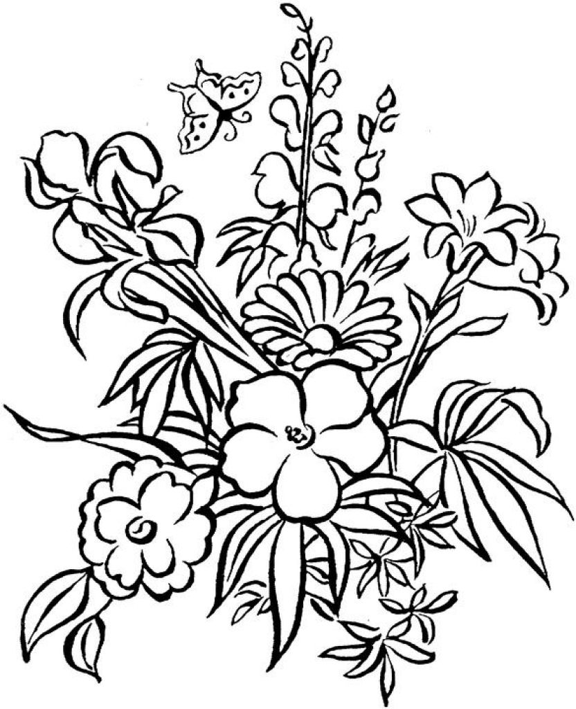 65 Coloring Books For Seniors 41