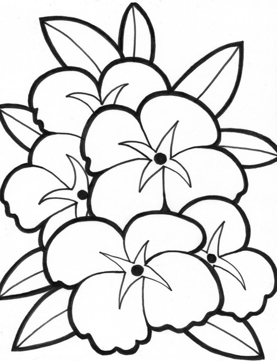 65 Coloring Books For Seniors 57