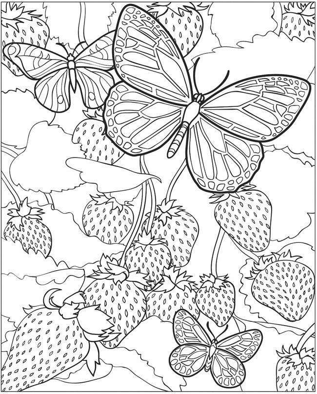 65 Coloring Books For Seniors 8