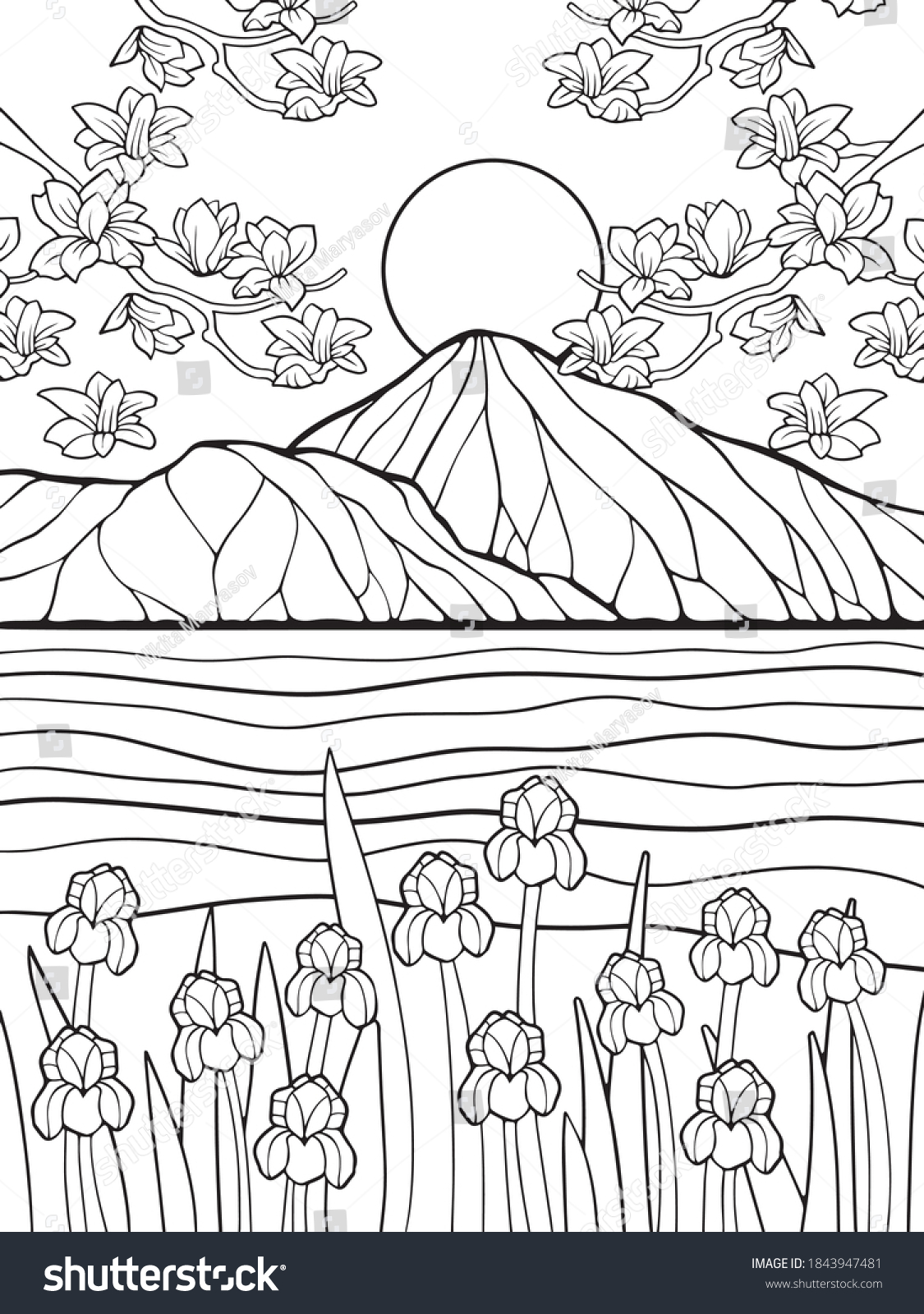 Coloring Books From Japan 18