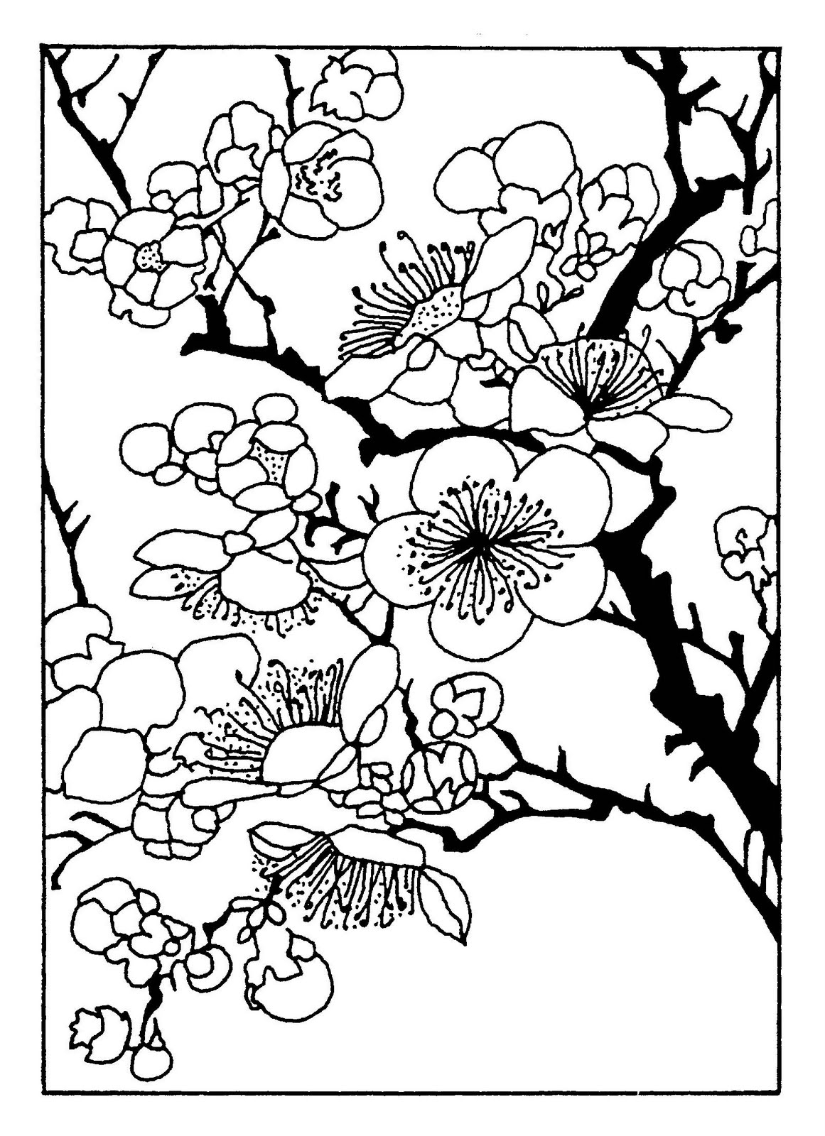Coloring Books From Japan 39