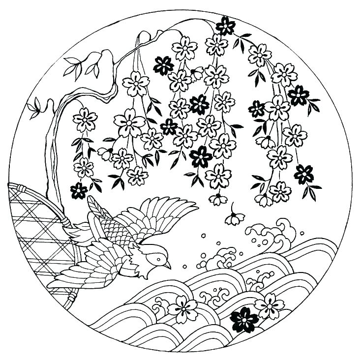 Coloring Books From Japan 62