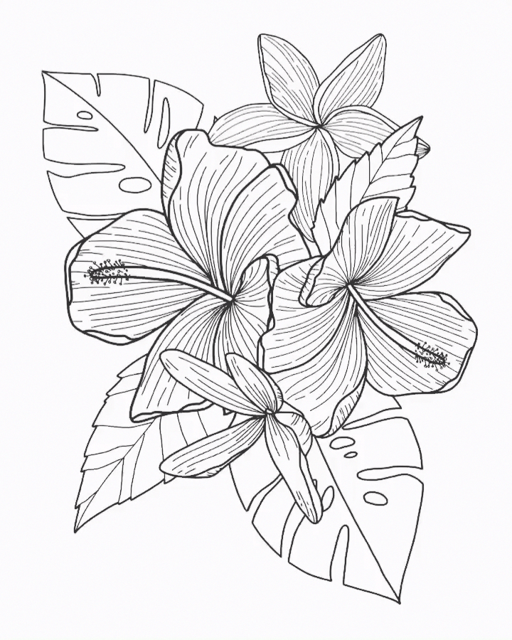 55 Free Procreate Colouring Pages 48