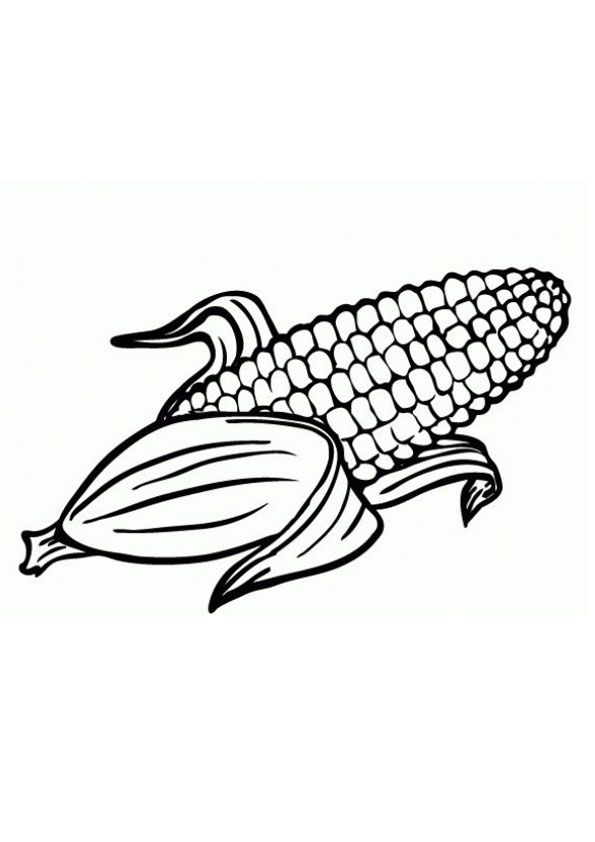 55 Kitty Corn Coloring Pages 19