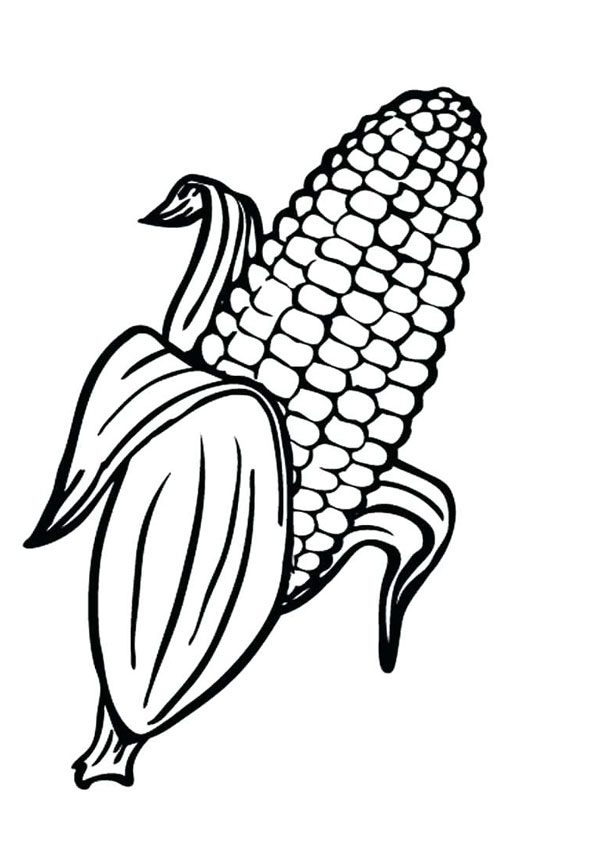 55 Kitty Corn Coloring Pages 36