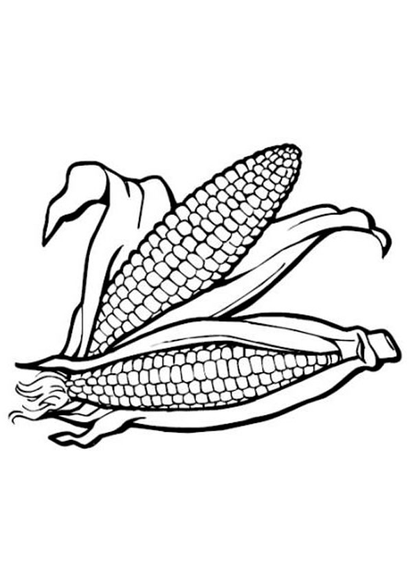 55 Kitty Corn Coloring Pages 5