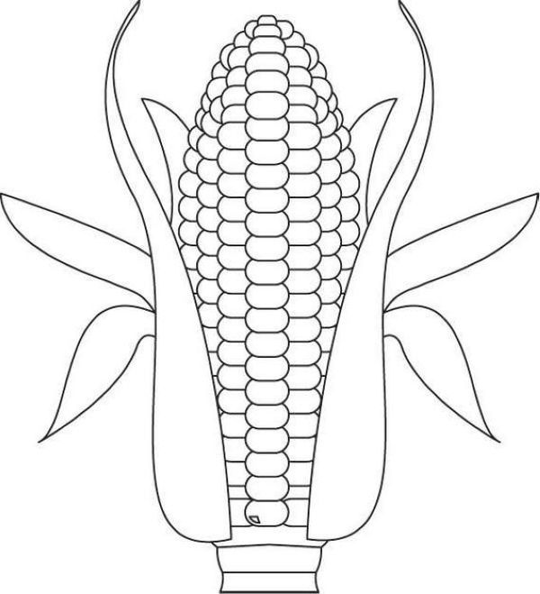 55 Kitty Corn Coloring Pages 52