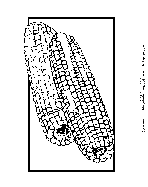 55 Kitty Corn Coloring Pages 6