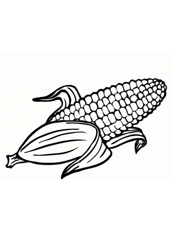55 Kitty Corn Coloring Pages 62