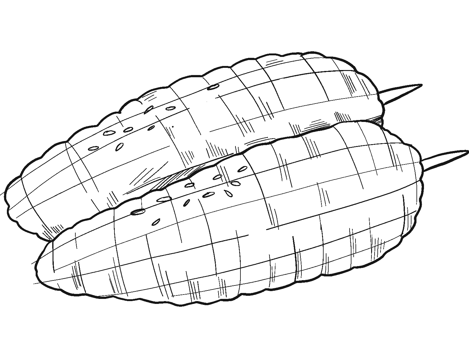 55 Kitty Corn Coloring Pages 8