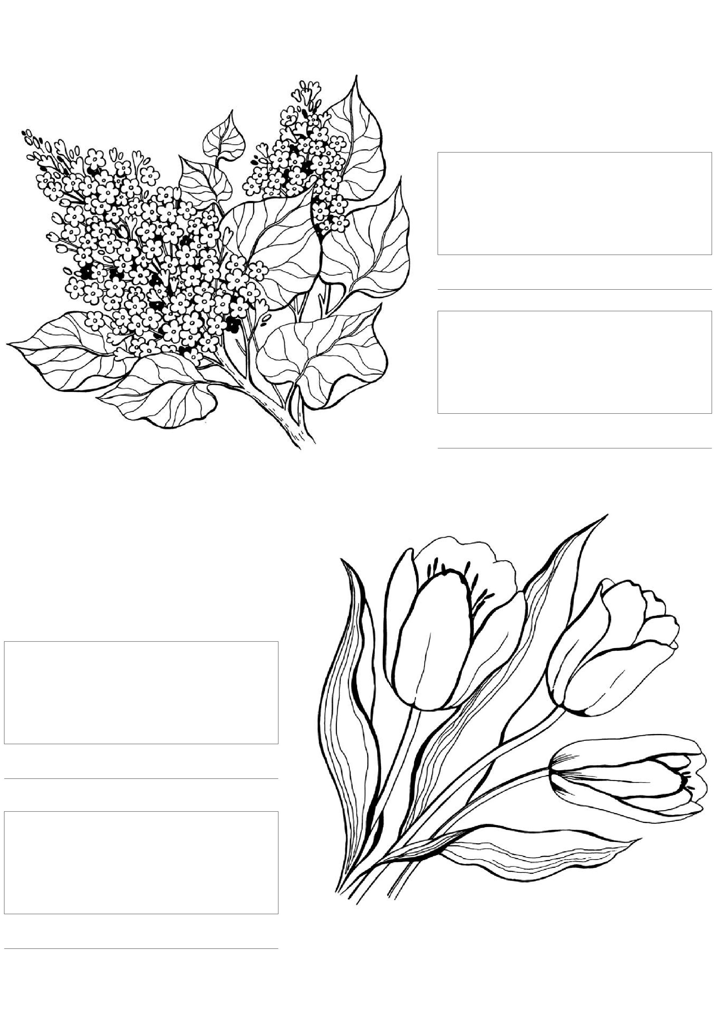 80 Printable Adult Coloring With Markers 42