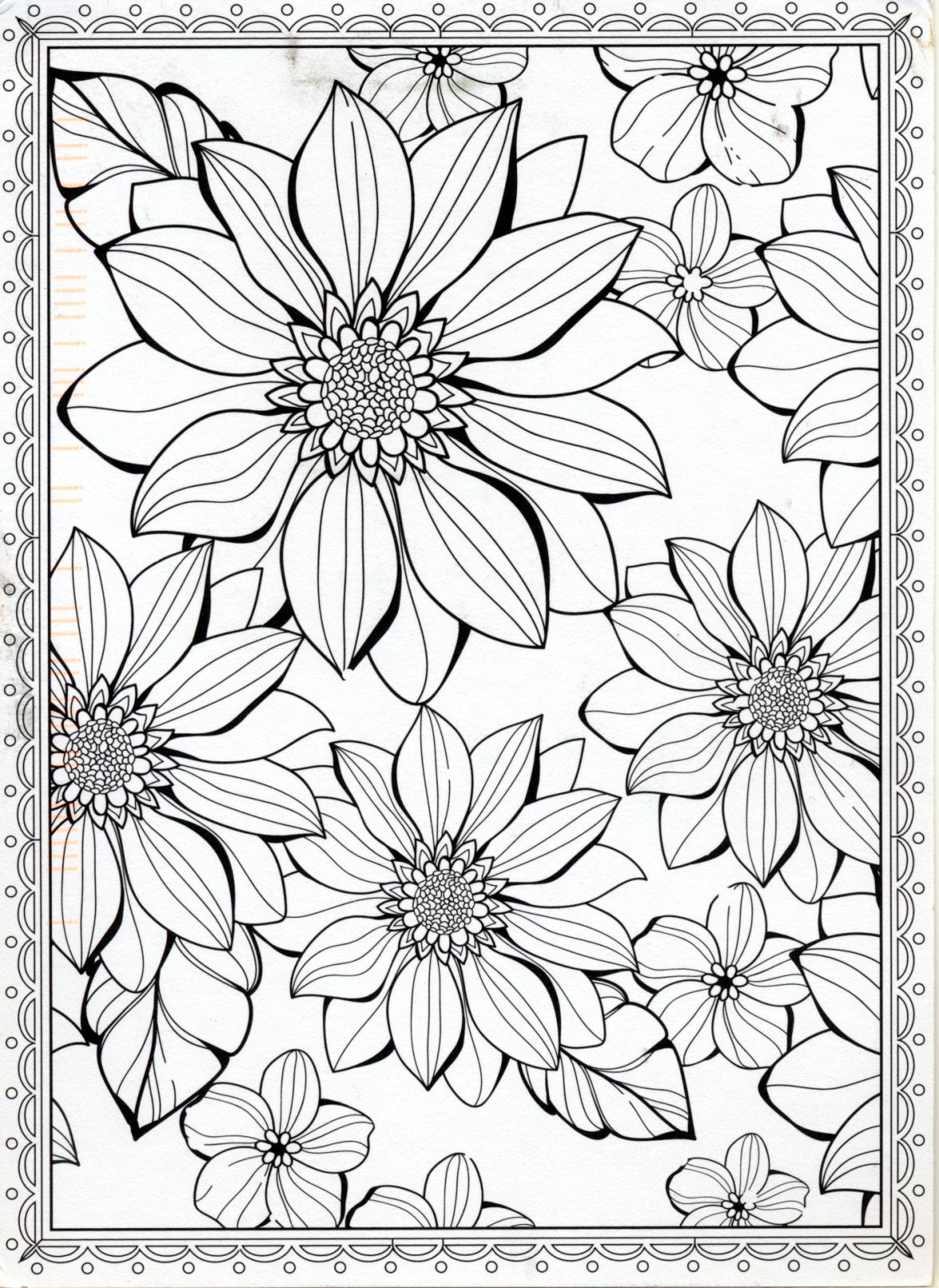 80 Printable Floral Pattern Coloring Pages 59