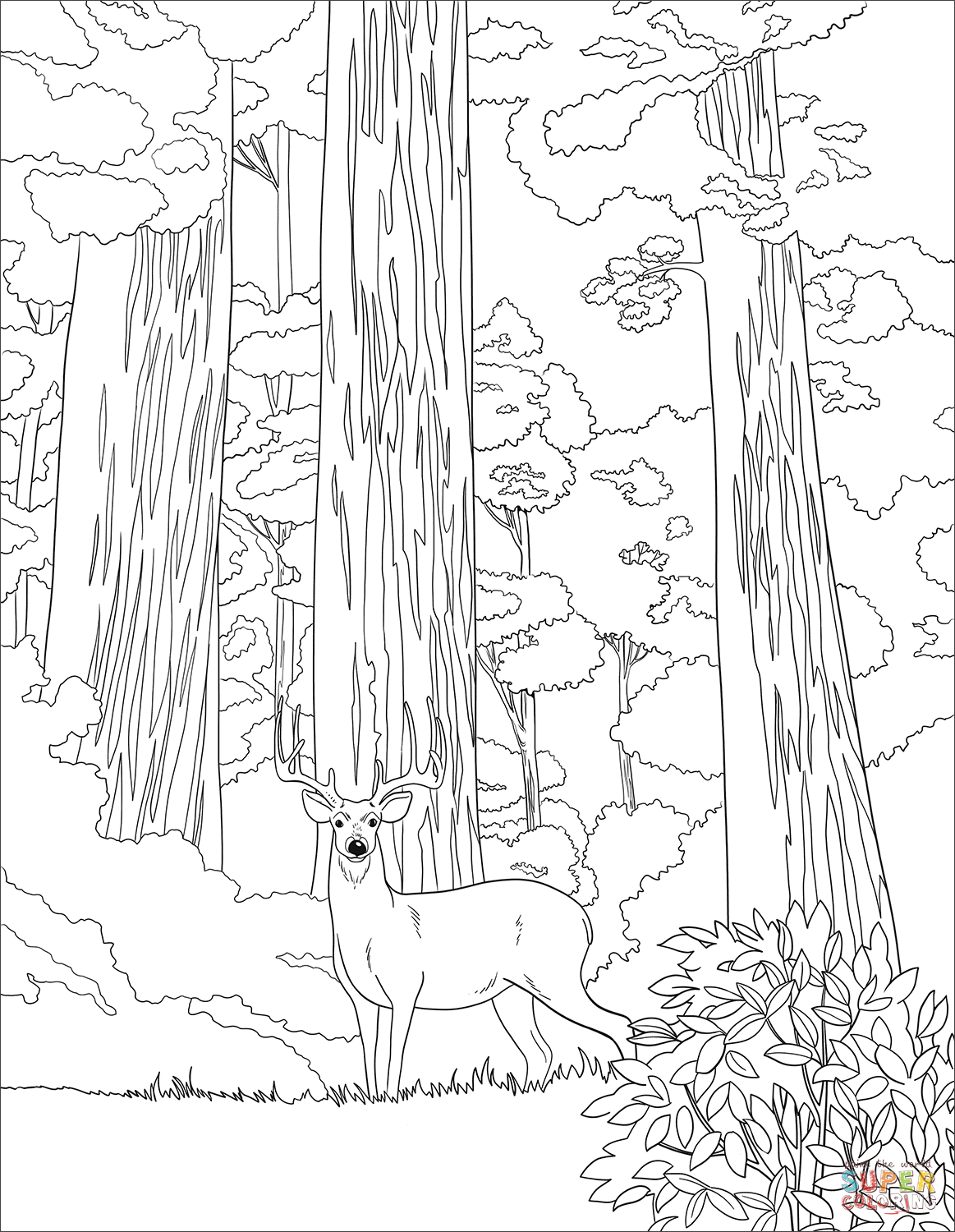 90 National Parks Coloring Pages 2