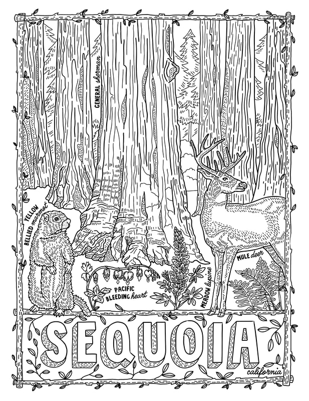 90 National Parks Coloring Pages 87