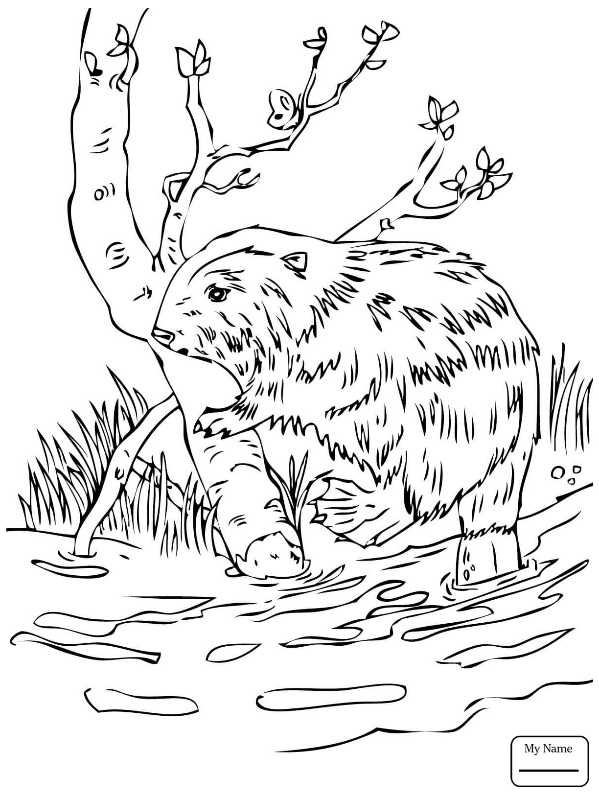 90 National Parks Coloring Pages 88