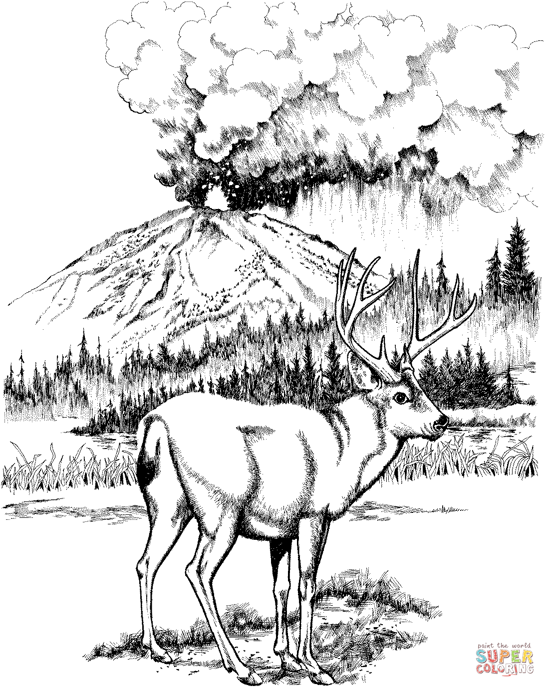 90 National Parks Coloring Pages 98