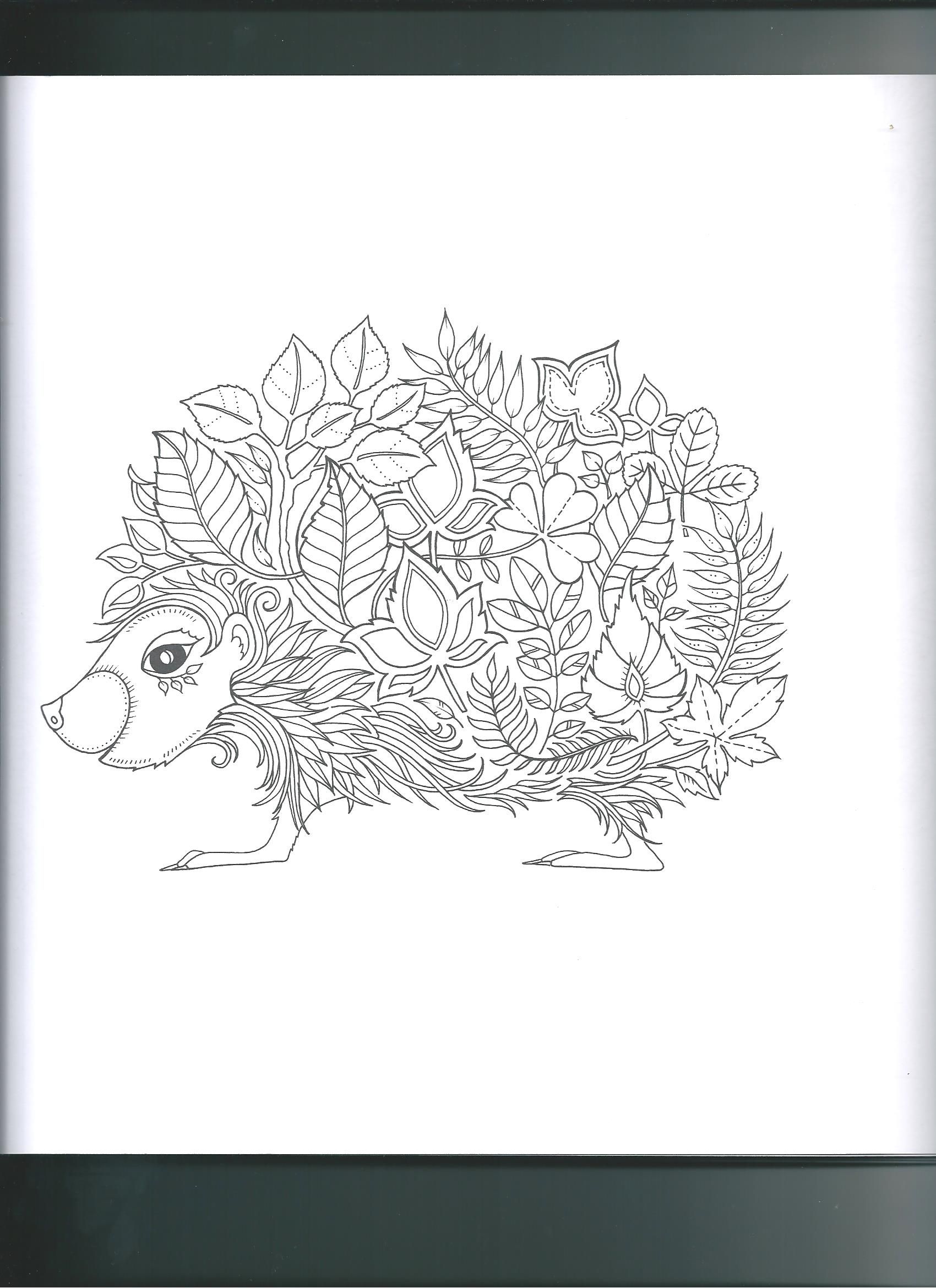 90 Printable Enchanted Forest Coloring Book 11
