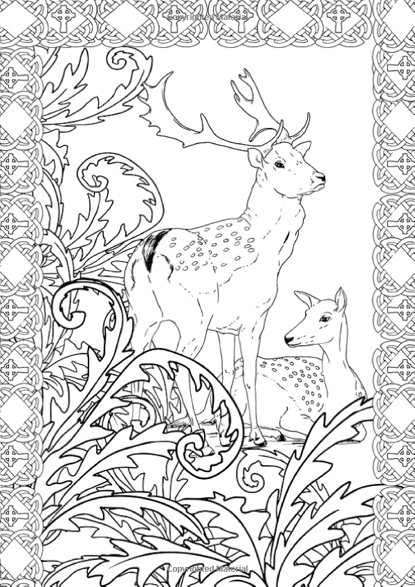 90 Printable Enchanted Forest Coloring Book 3