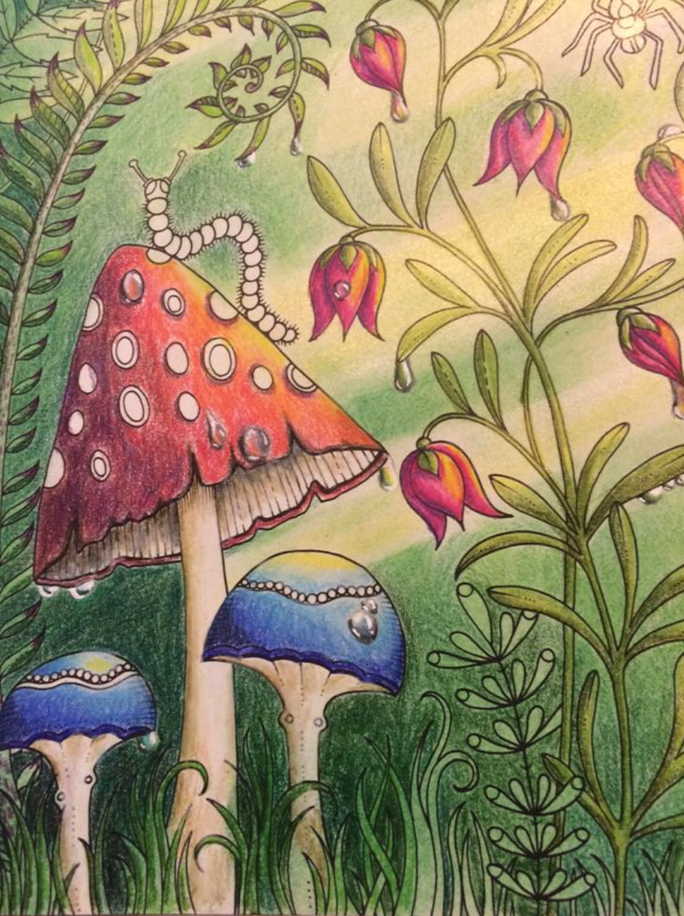 90 Printable Enchanted Forest Coloring Book 49