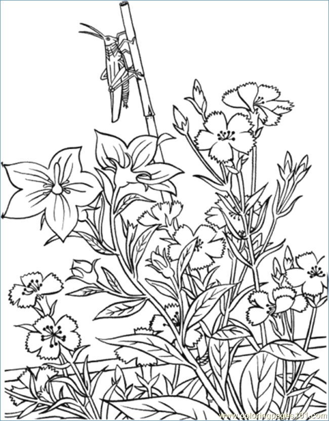 90 Printable Garden Coloring Pages 21