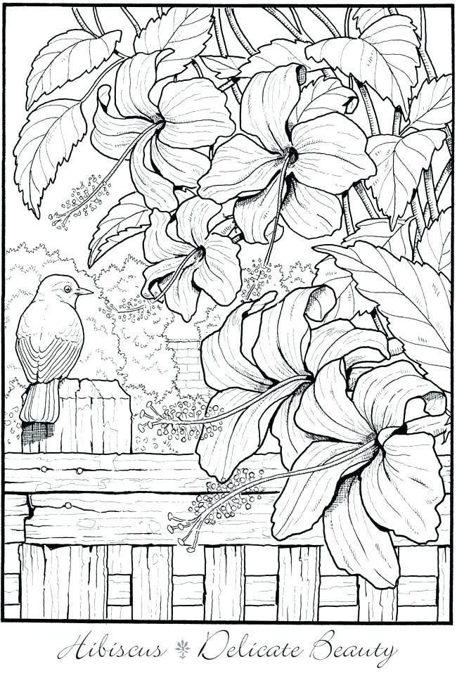 90 Printable Garden Coloring Pages 23
