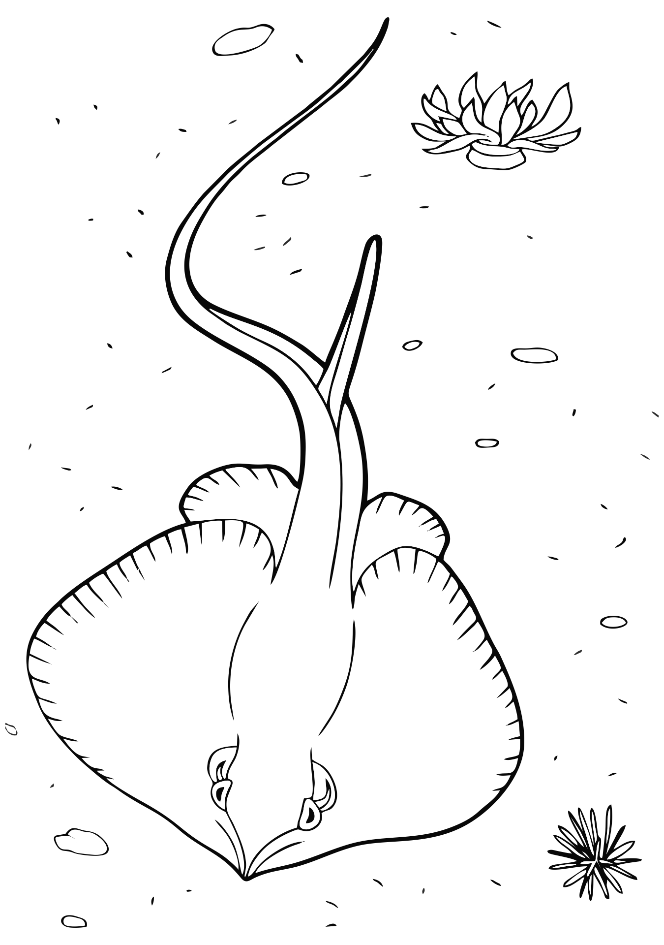 60 Printable Coloring Pages Of Stingrays 19