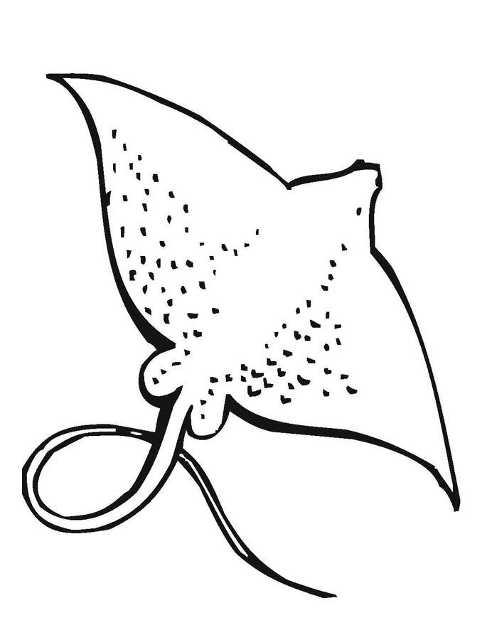 60 Printable Coloring Pages Of Stingrays 24