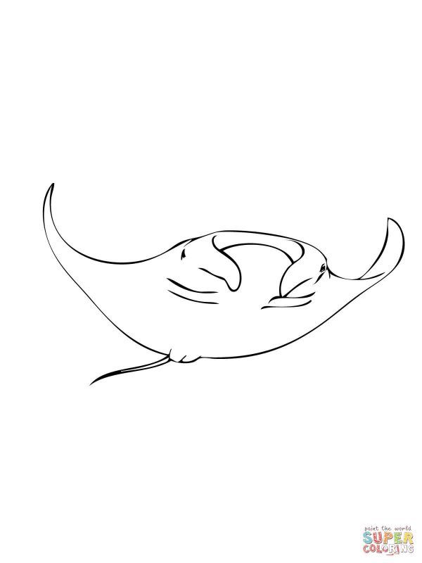 60 Printable Coloring Pages Of Stingrays 3