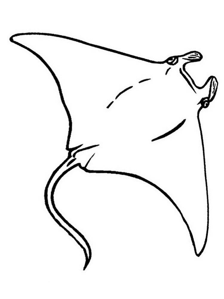 60 Printable Coloring Pages Of Stingrays 5