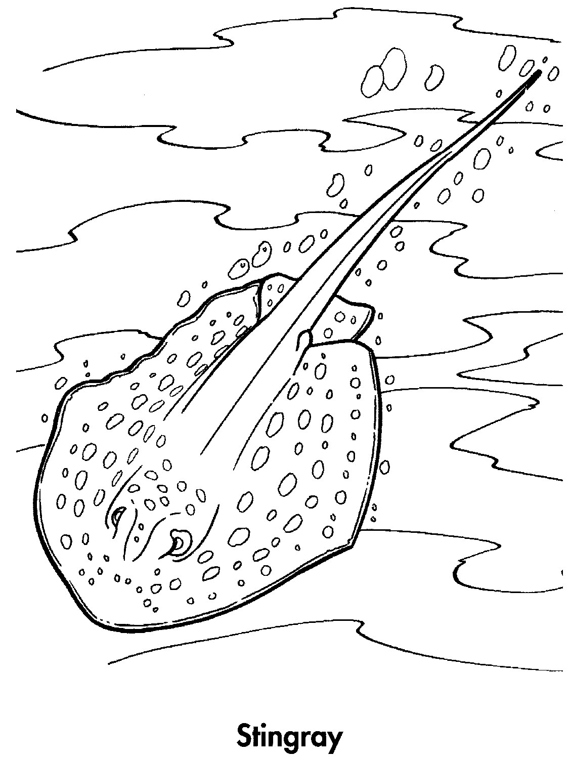 60 Printable Coloring Pages Of Stingrays 53