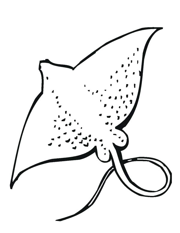 60 Printable Coloring Pages Of Stingrays 59