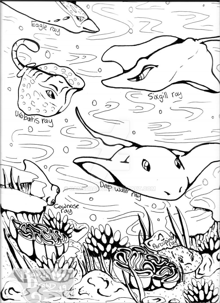 60 Printable Coloring Pages Of Stingrays 60