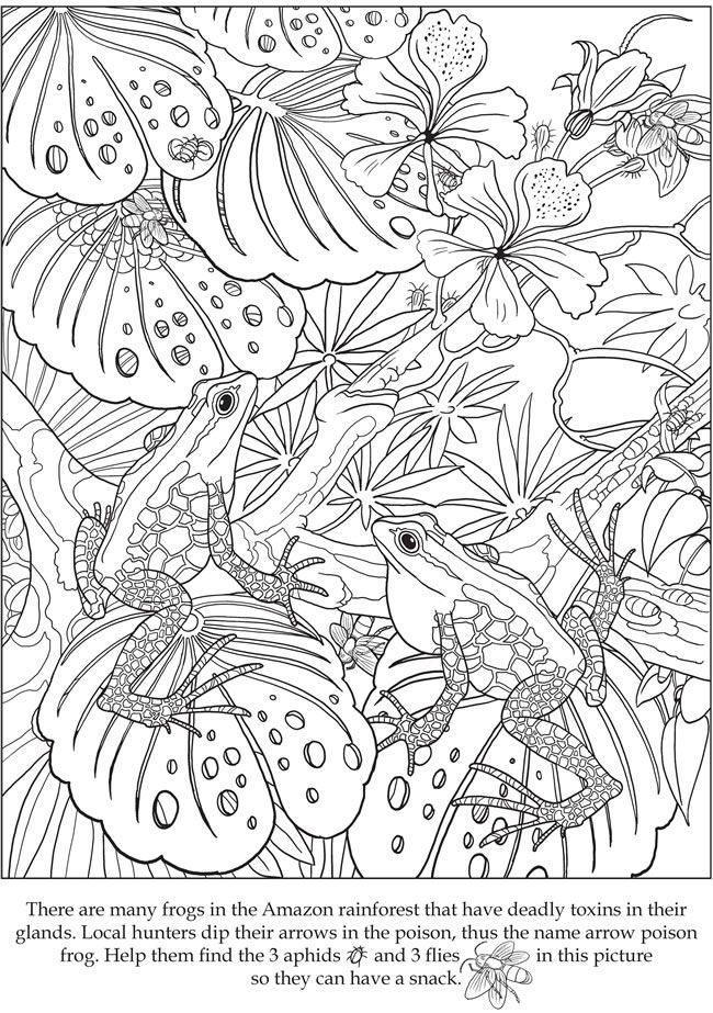 60 Printable Hidden Pictures Coloring Pages 21