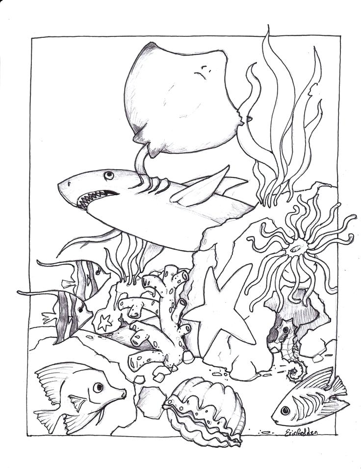 Get 85 Tropical Fish Coloring Pages Ideas 27