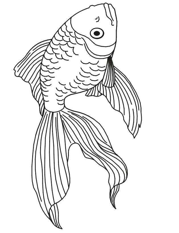 Get 85 Tropical Fish Coloring Pages Ideas 28