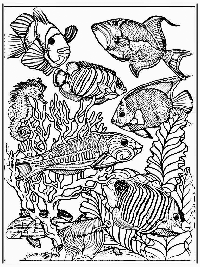 Get 85 Tropical Fish Coloring Pages Ideas 31