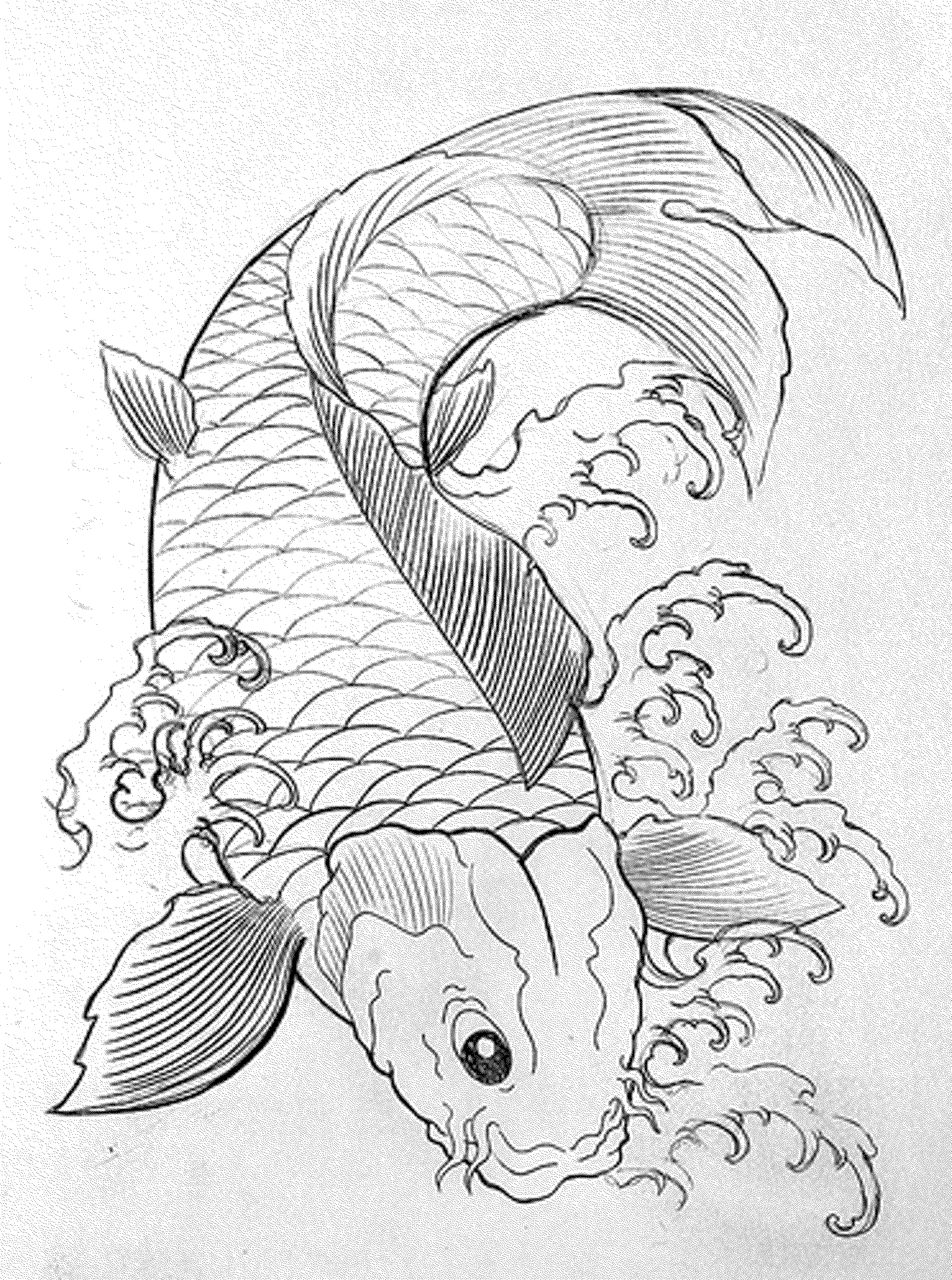 Get 85 Tropical Fish Coloring Pages Ideas 33
