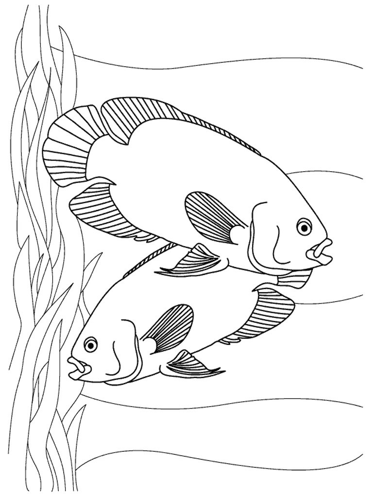 Get 85 Tropical Fish Coloring Pages Ideas 35